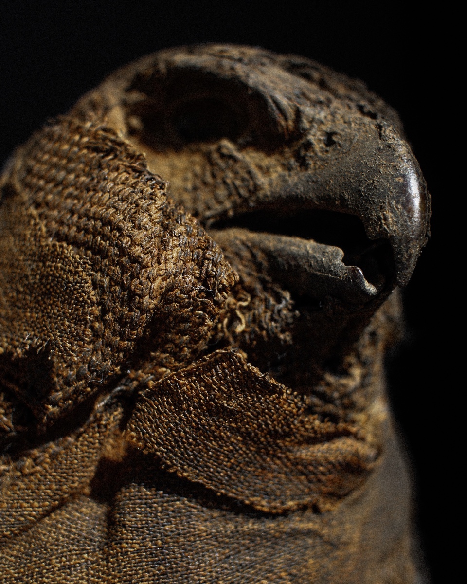 Late Period (664-332 B.c.) Mummified Falcon, Representation Of Horus, Votive Offering-photo-4