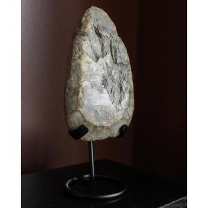 Polished North American Neolithic Axe Head On Stand