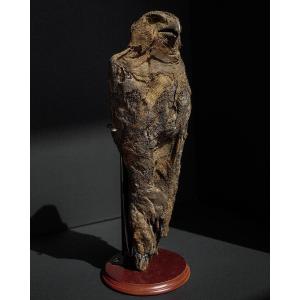 Late Period (664-332 B.c.) Mummified Falcon, Representation Of Horus, Votive Offering