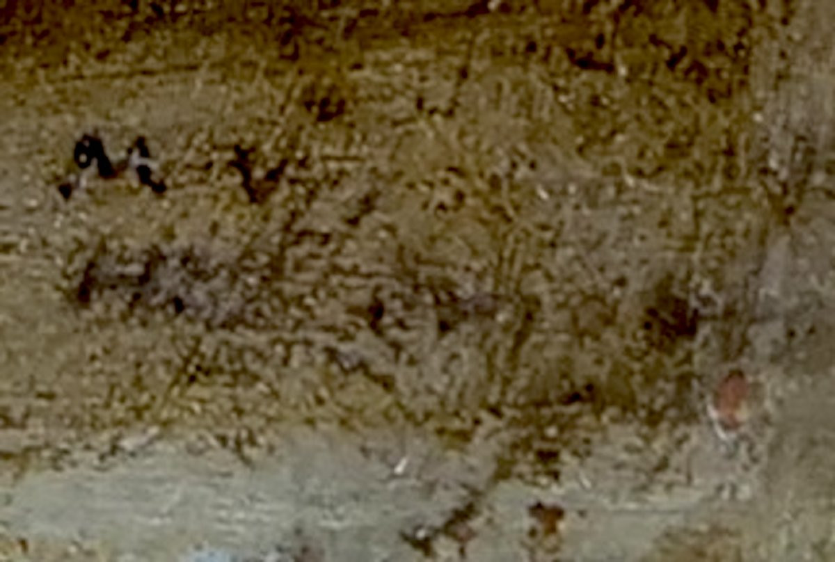 The Drinkers - Oil On Copper By Mattheus Van Helmont (1623 - C.1679) Size: 16.5 X 23 Cm-photo-2