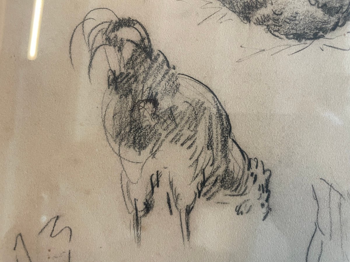 Charles émile Jacque (1813–1894), Attributed To. Studies Of Hens (20 × 29 / 44 × 36 Cm)-photo-4