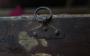 1778417-6a2ecbfe8f71b.jpg