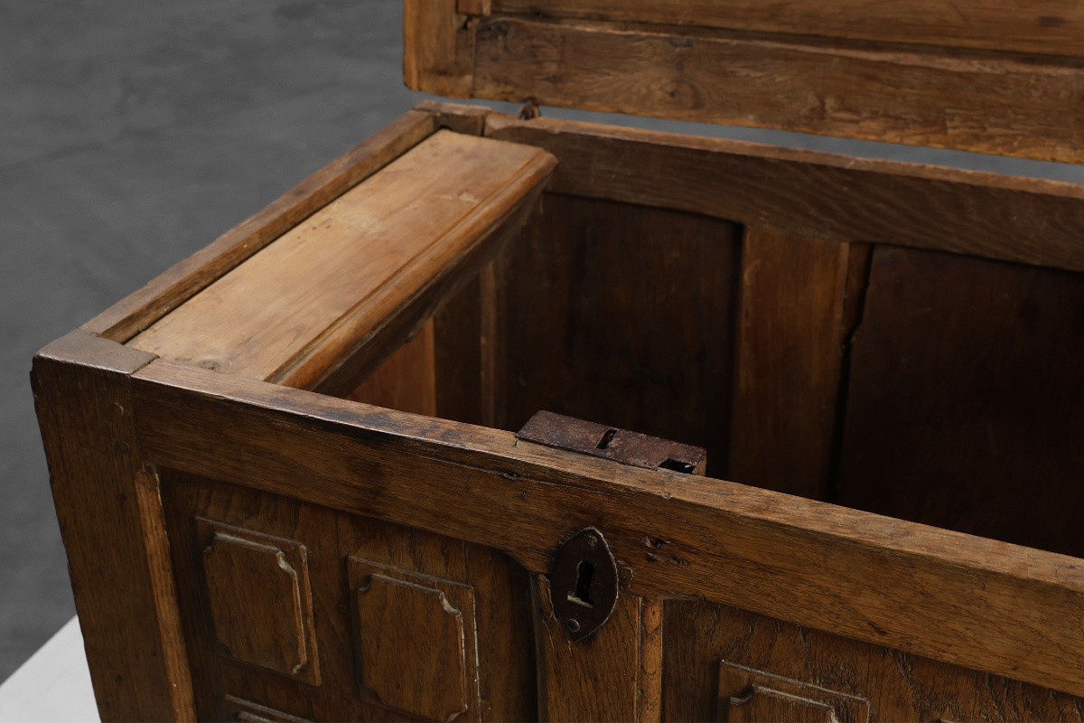 Rustic Oak Panelled Chest, France, 18th Century-photo-3