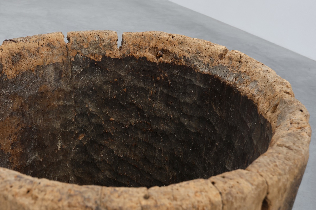 19th Century French Primitive Hollowed Oak Tree Trunk Planter-photo-4