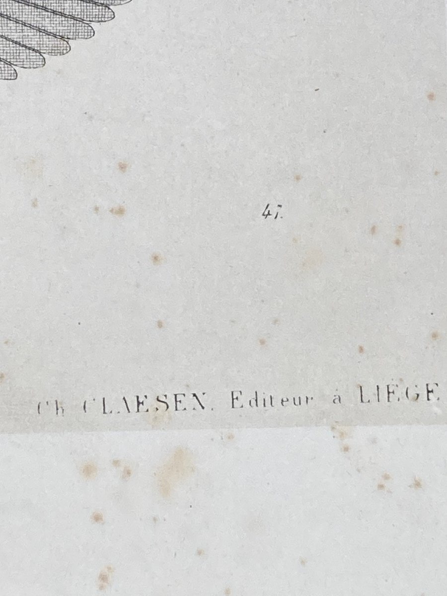 serie de 55 gravures "livre d'ornaments par Lienard", anee 1866-photo-2
