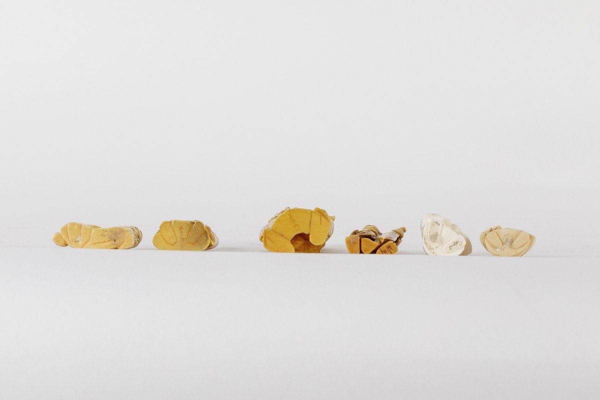 Serie de Six Sculptures Netsuke Japon En Ivoire -photo-2