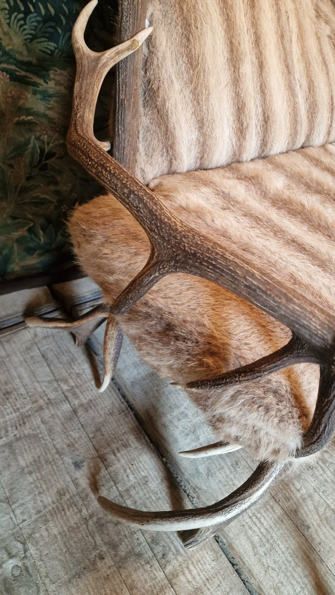 Canapé bois de cerf-photo-2