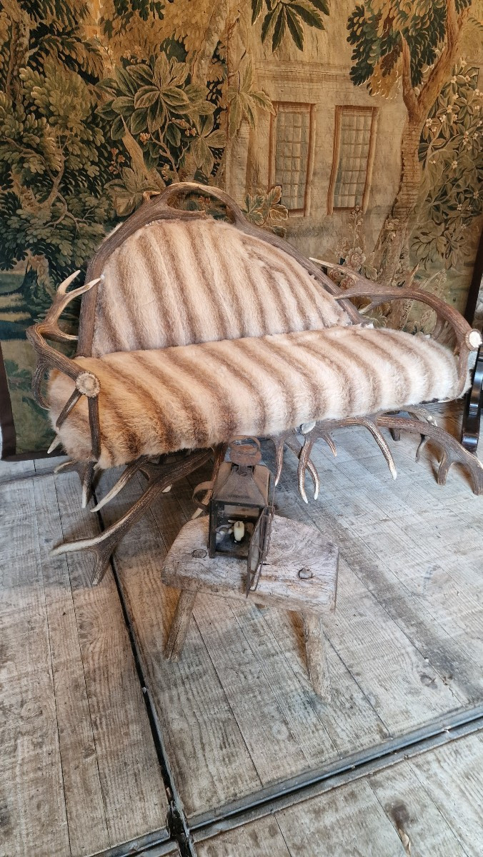 Canapé bois de cerf