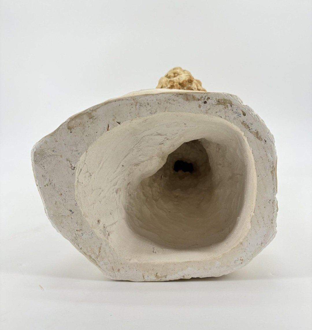 Plaster By Cesar Schroevens-photo-4