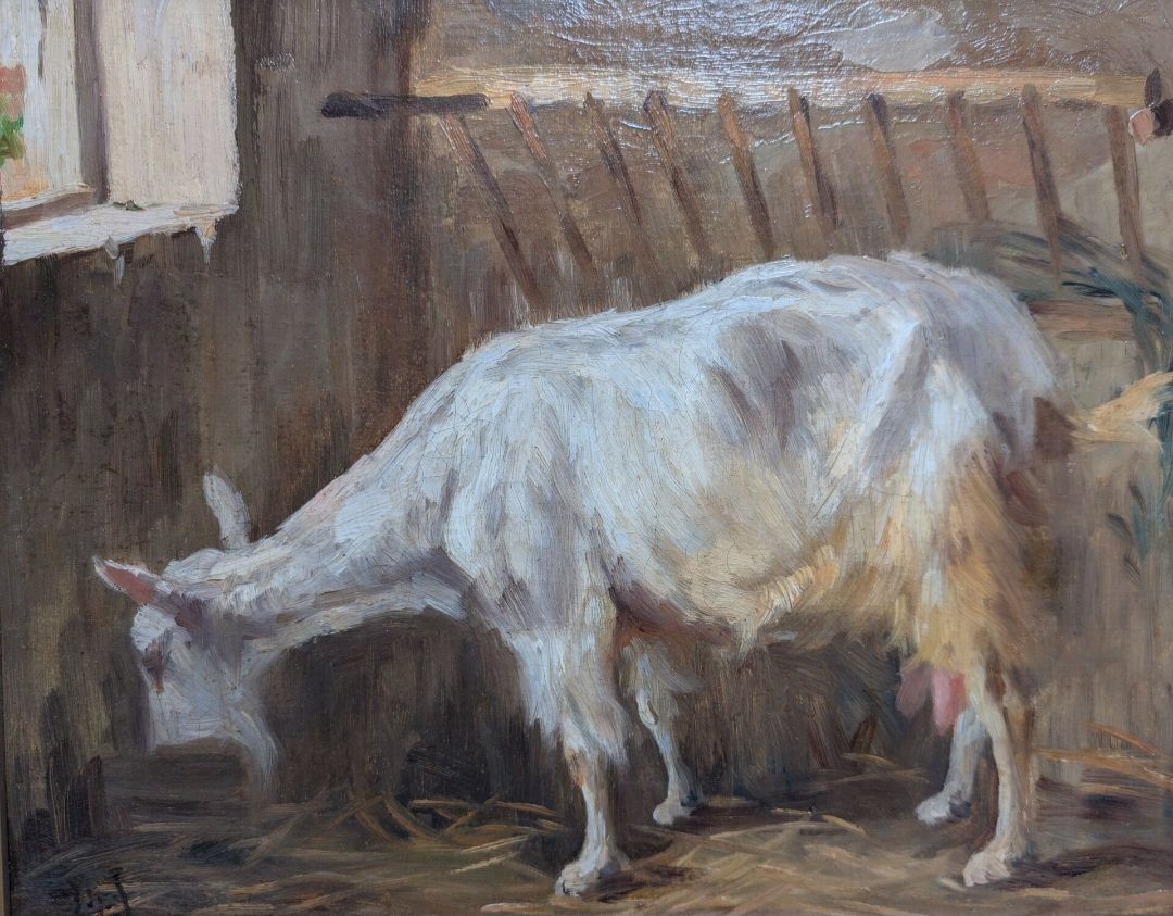 Oil On Canvas: Goat-photo-3