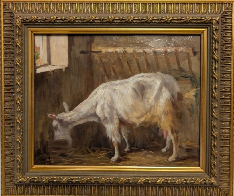 Oil On Canvas: Goat