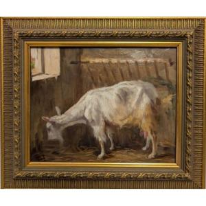Oil On Canvas: Goat