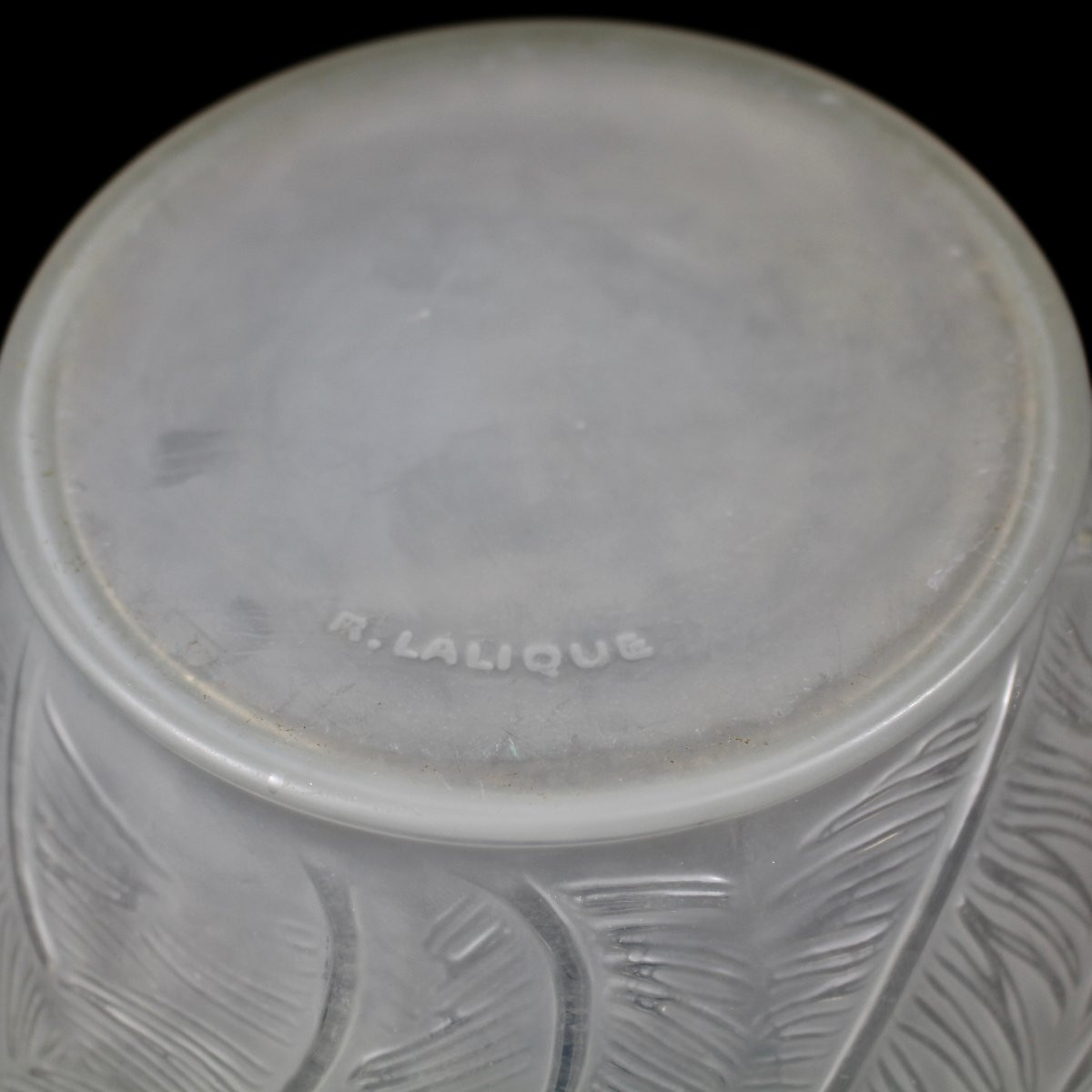R  LALIQUE  VASE  "PLUMES "-photo-3