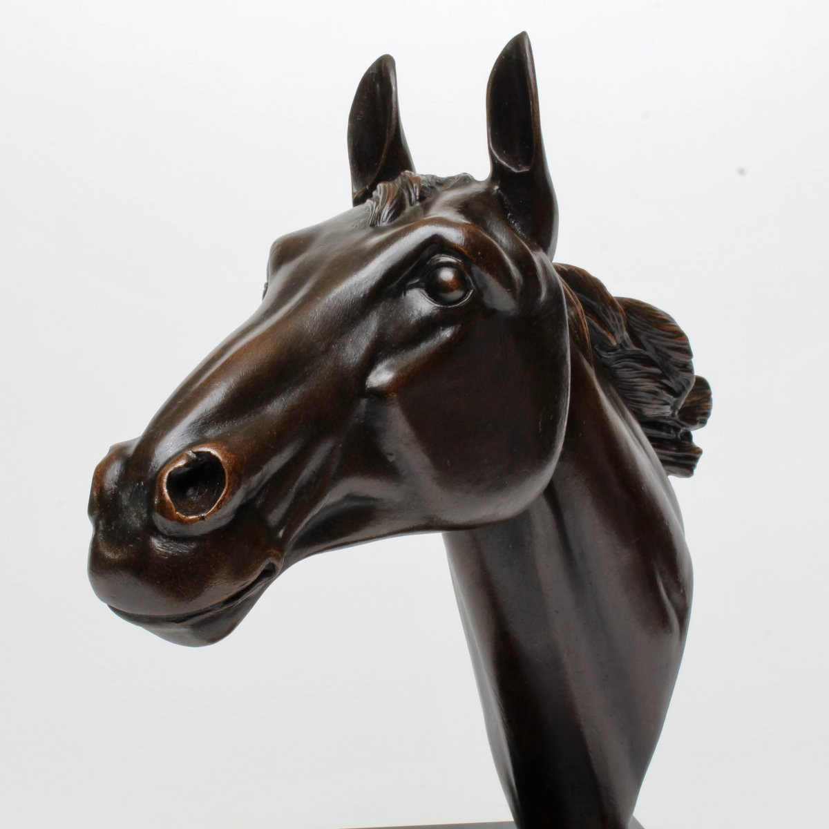 I Rochard Horse Head-photo-2