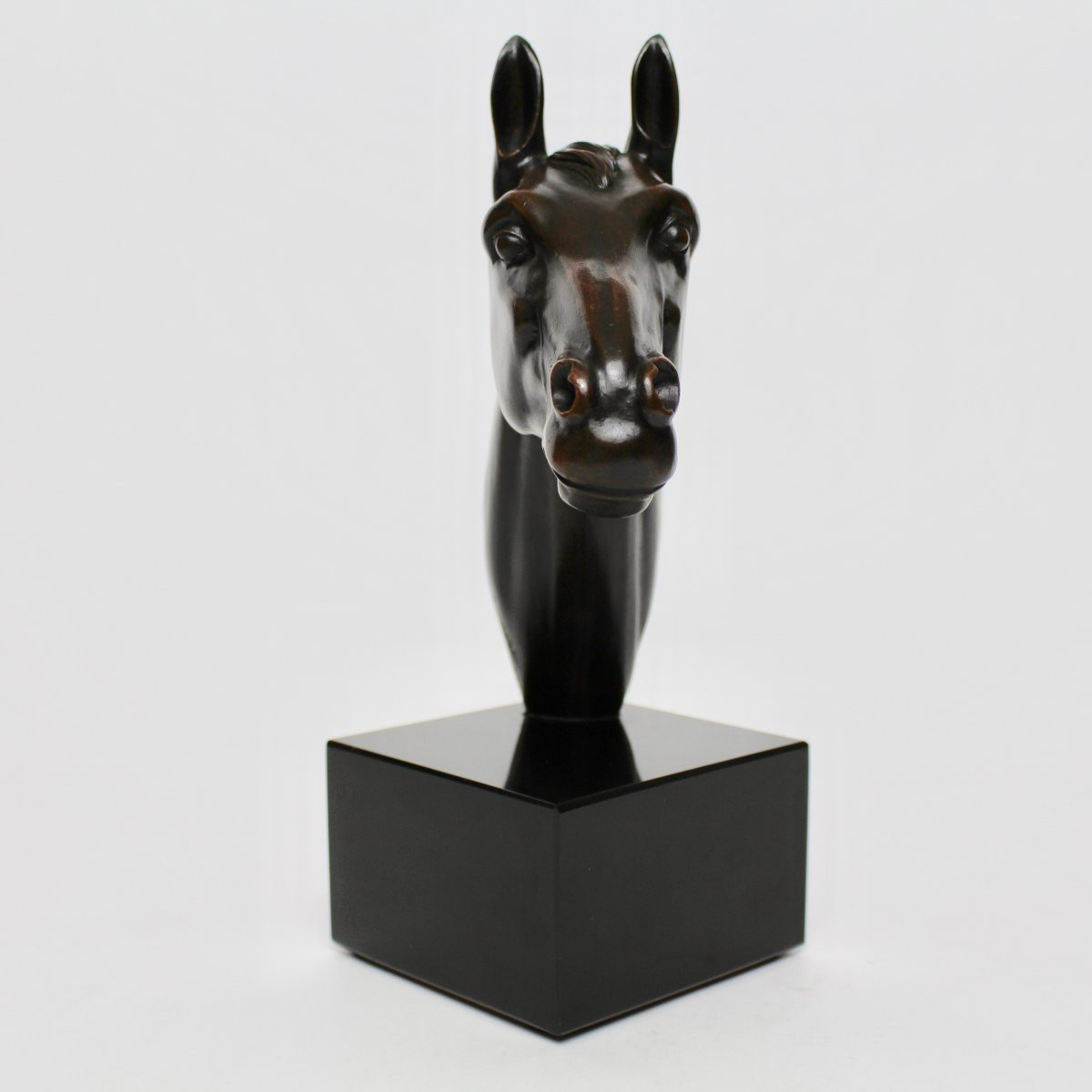 I Rochard Horse Head-photo-1