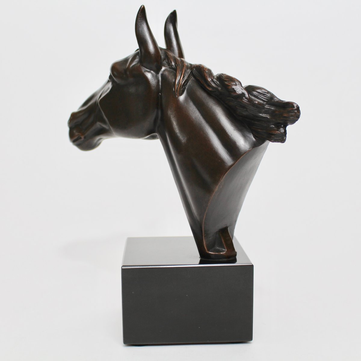 I Rochard Horse Head-photo-5