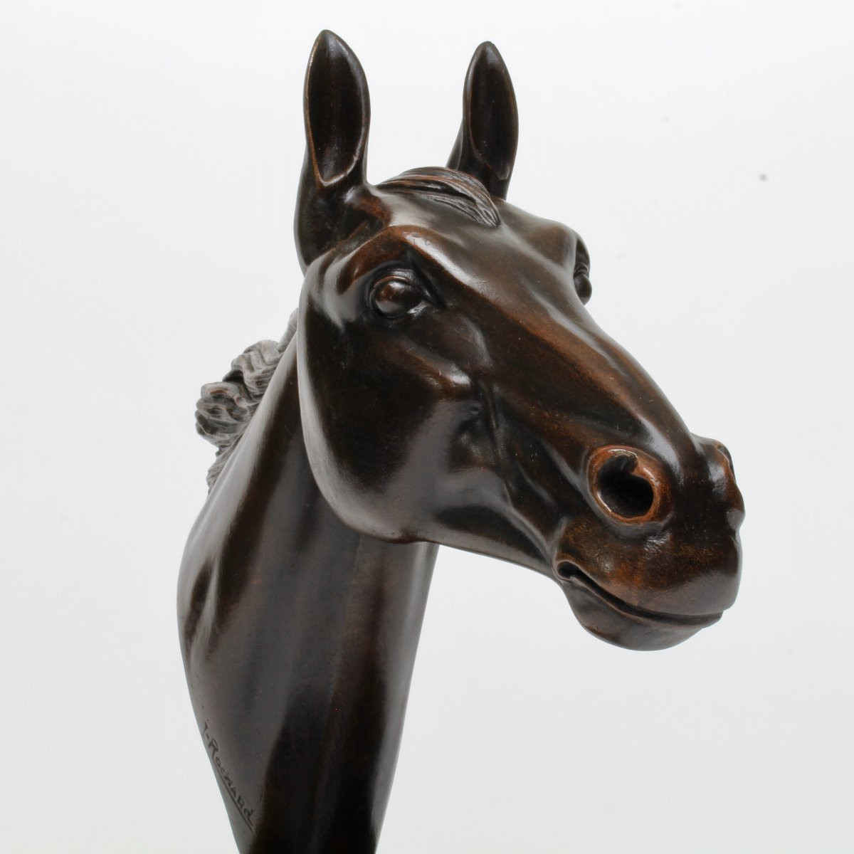 I Rochard Horse Head-photo-6