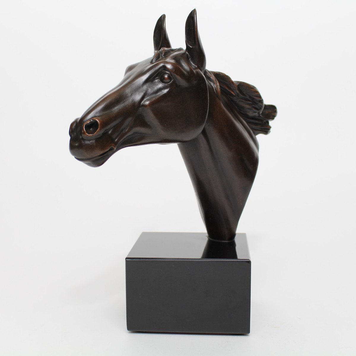 I Rochard Horse Head