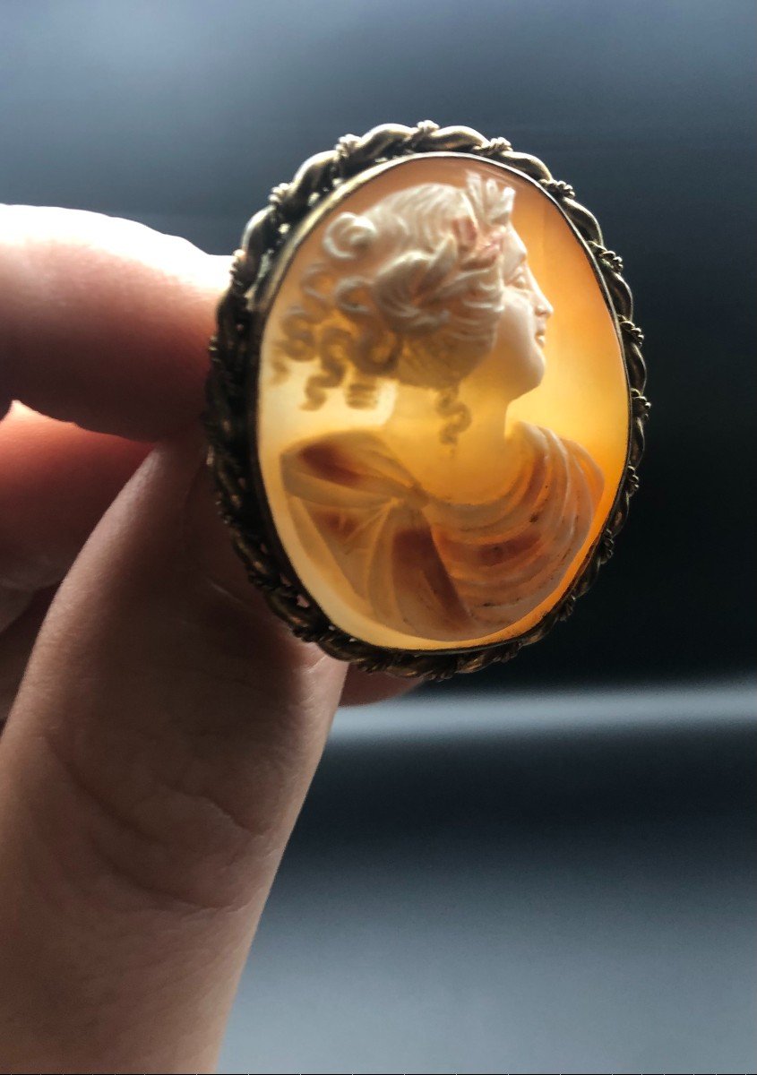 Four Cameos Brooches 19th-photo-1