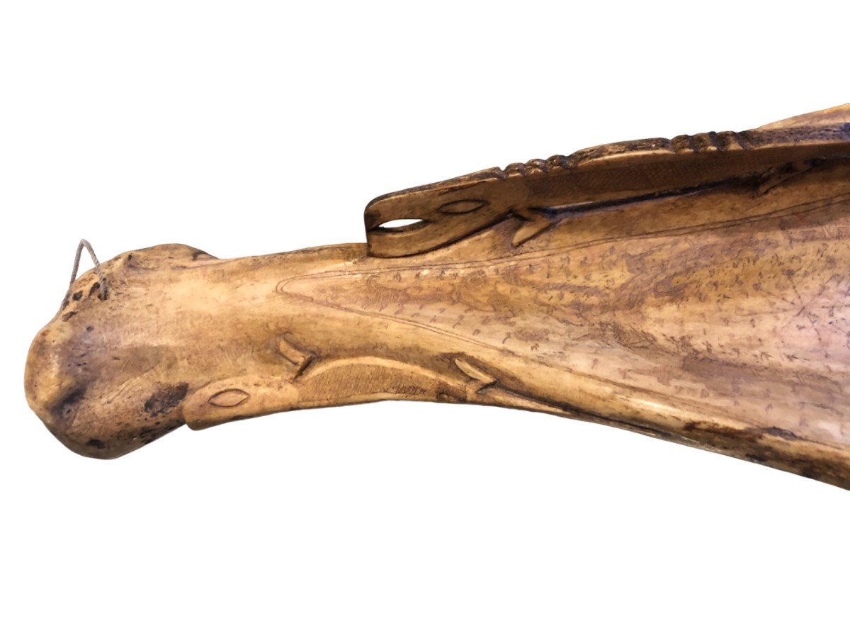 Bone Manuscript Curiosity -photo-4
