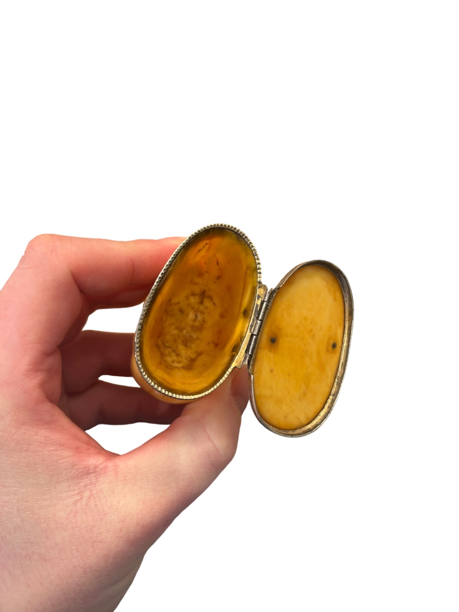 Whale Snuffbox, 18th-19th Century-photo-4