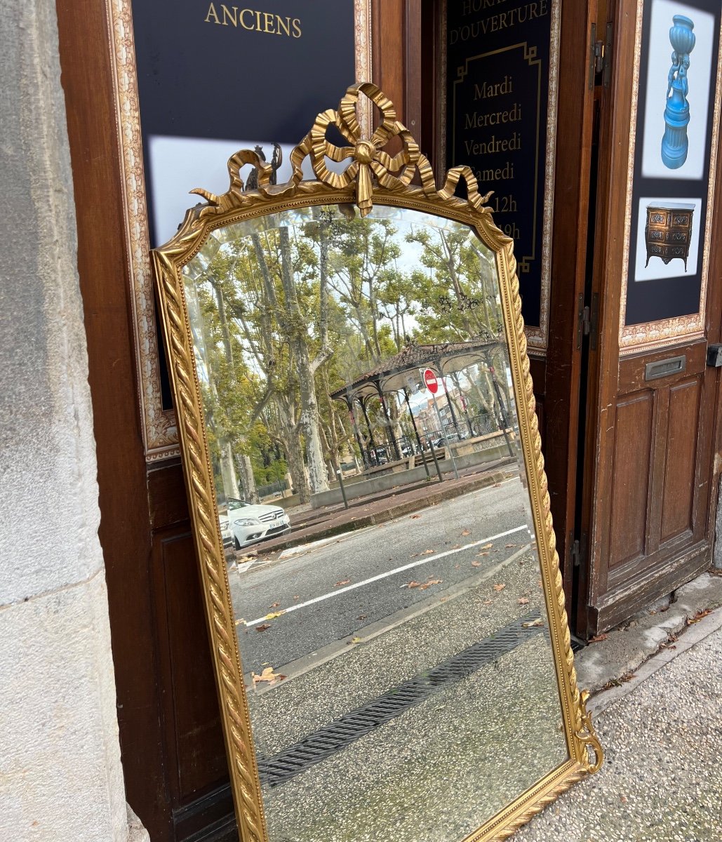19th Century Louis XVI Style Mirror With Float Decoration