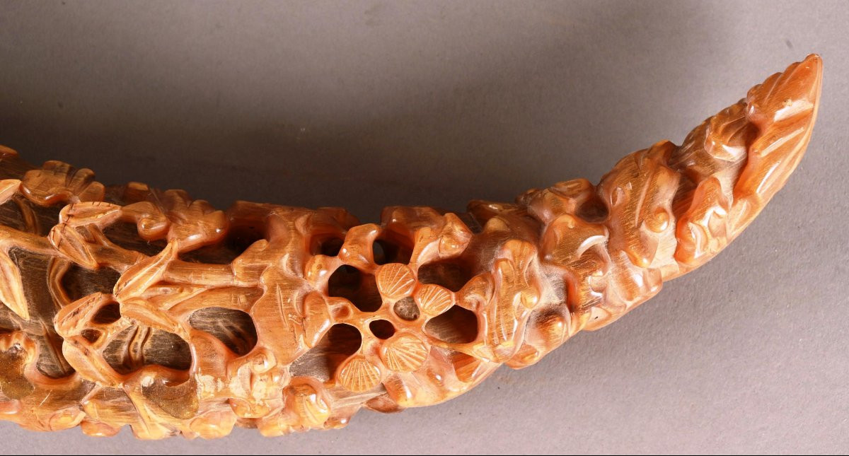 China Or Indochina. Large And Beautiful Carved Horn-photo-3