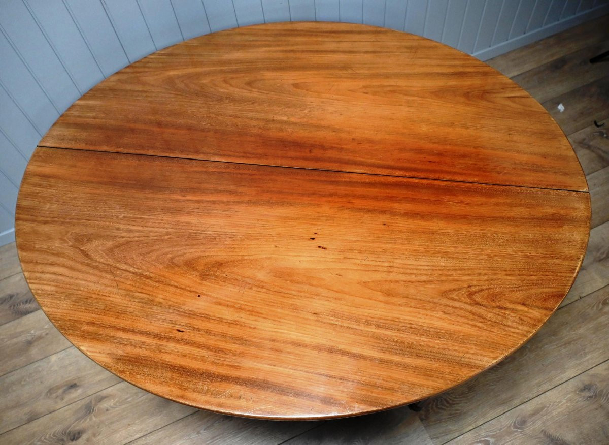 Long And Elegant Oval Louis-philippe Dining Table In Mahogany-photo-2