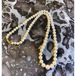 Collier De Perles De Cultures blanches
