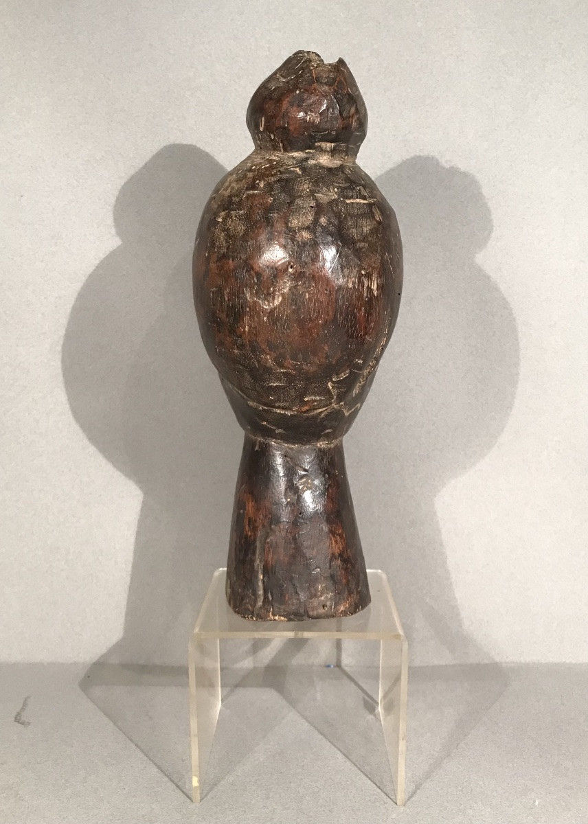 Arts Premiers Art Africain Tête de Reliquaire Fang Gabon Bois Sculpté 1ère Moitié XXème Siècle-photo-3