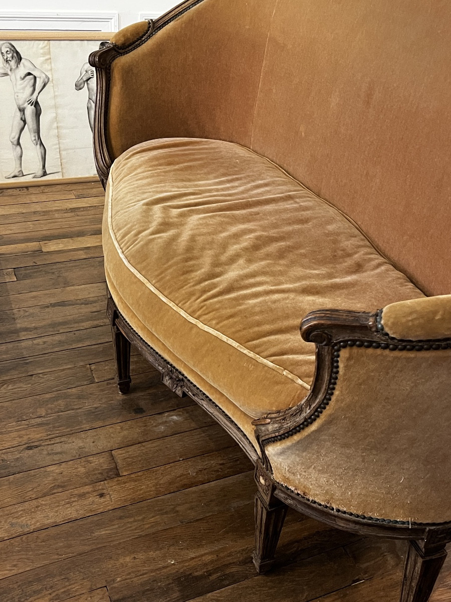 Large Louis XVI Period Basket Sofa-photo-3