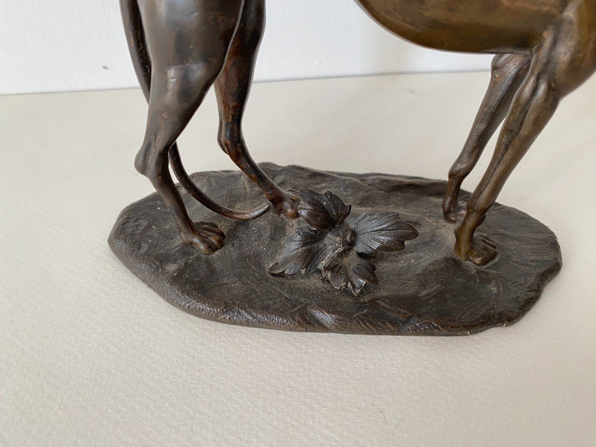 Lévrier Bronze Animalier XIXème Siècle (dans Le Goût De Barye)-photo-3