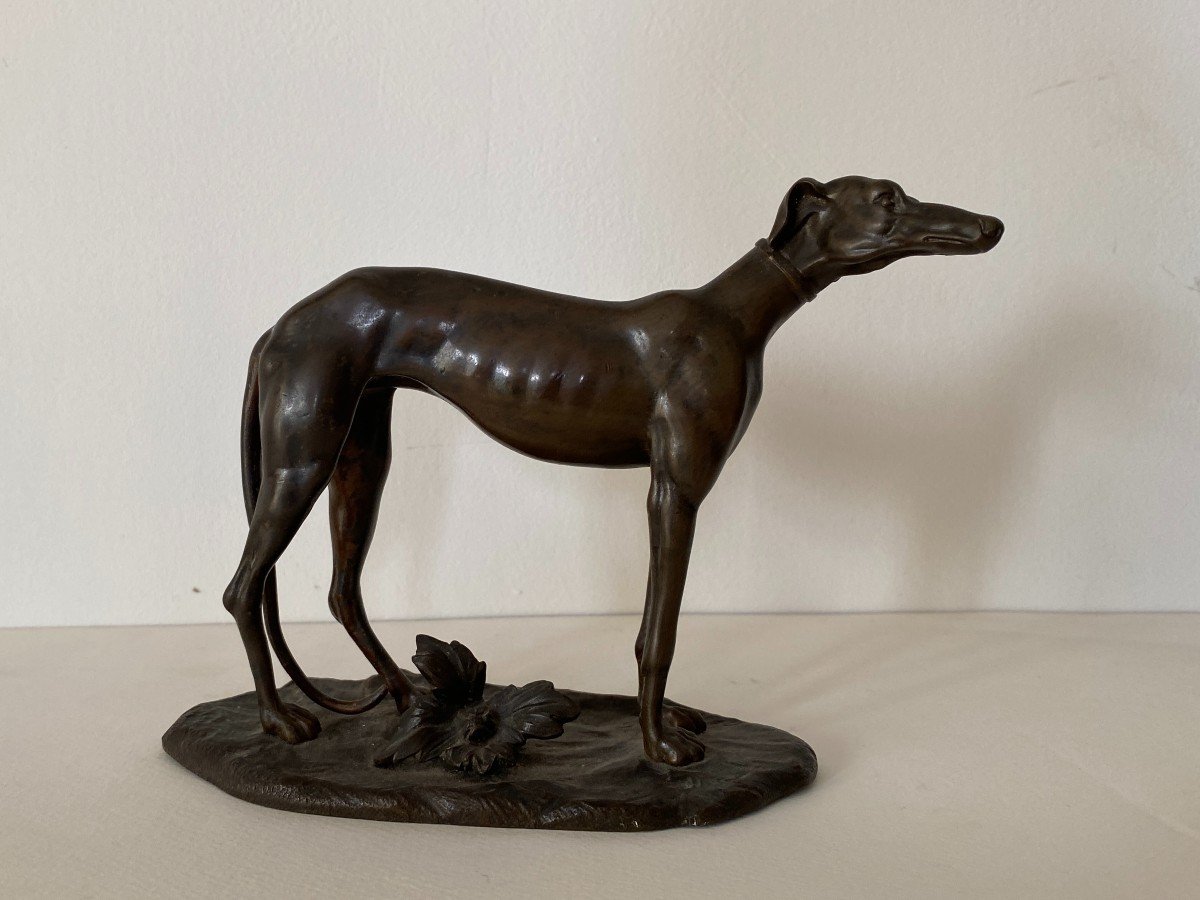 Lévrier Bronze Animalier XIXème Siècle (dans Le Goût De Barye)