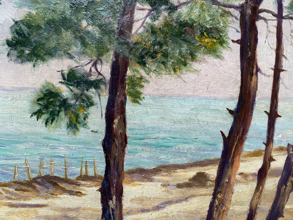 Evat Tolem Paysage Le Pyla Bassin d'Arcachon vers 1930 Huile sur panneau-photo-3