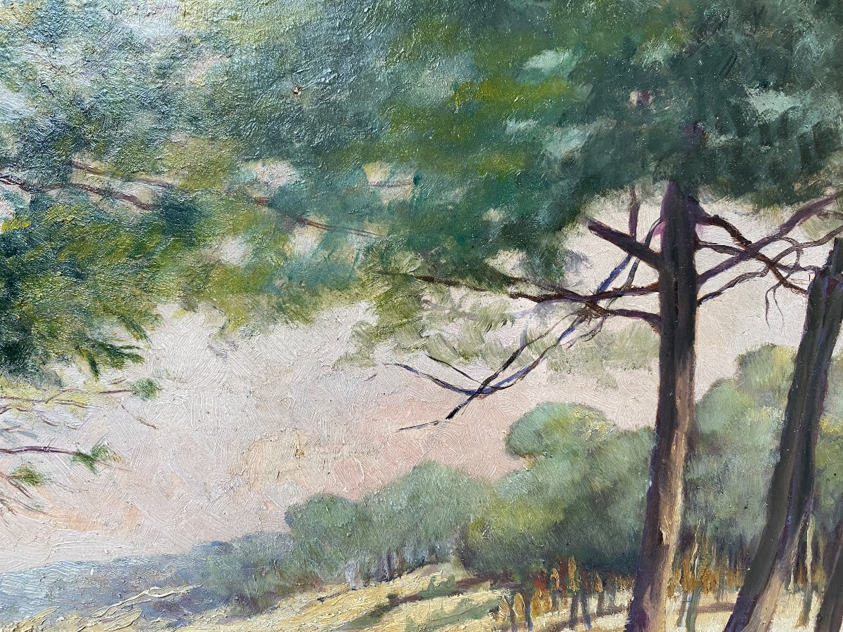 Evat Tolem Paysage Le Pyla Bassin d'Arcachon vers 1930 Huile sur panneau-photo-4