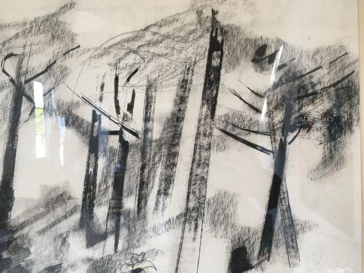 Pierre Théron. Dessin Fusain Original. Pins  Sur Le Bassin d' Arcachon.-photo-3