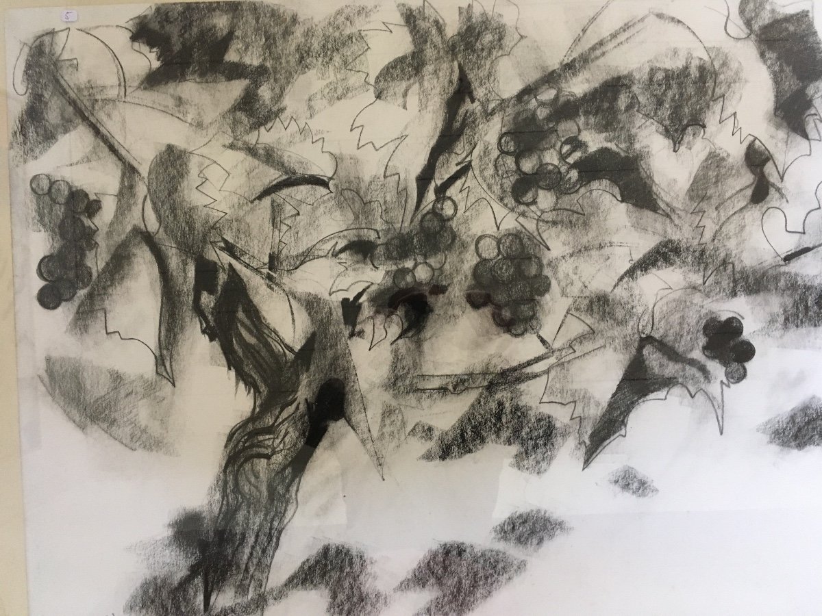 Pierre Théron. Dessin Original Vers 1960. La Vigne , Raisins, étude Sur Le Vin, Bordeaux-photo-1