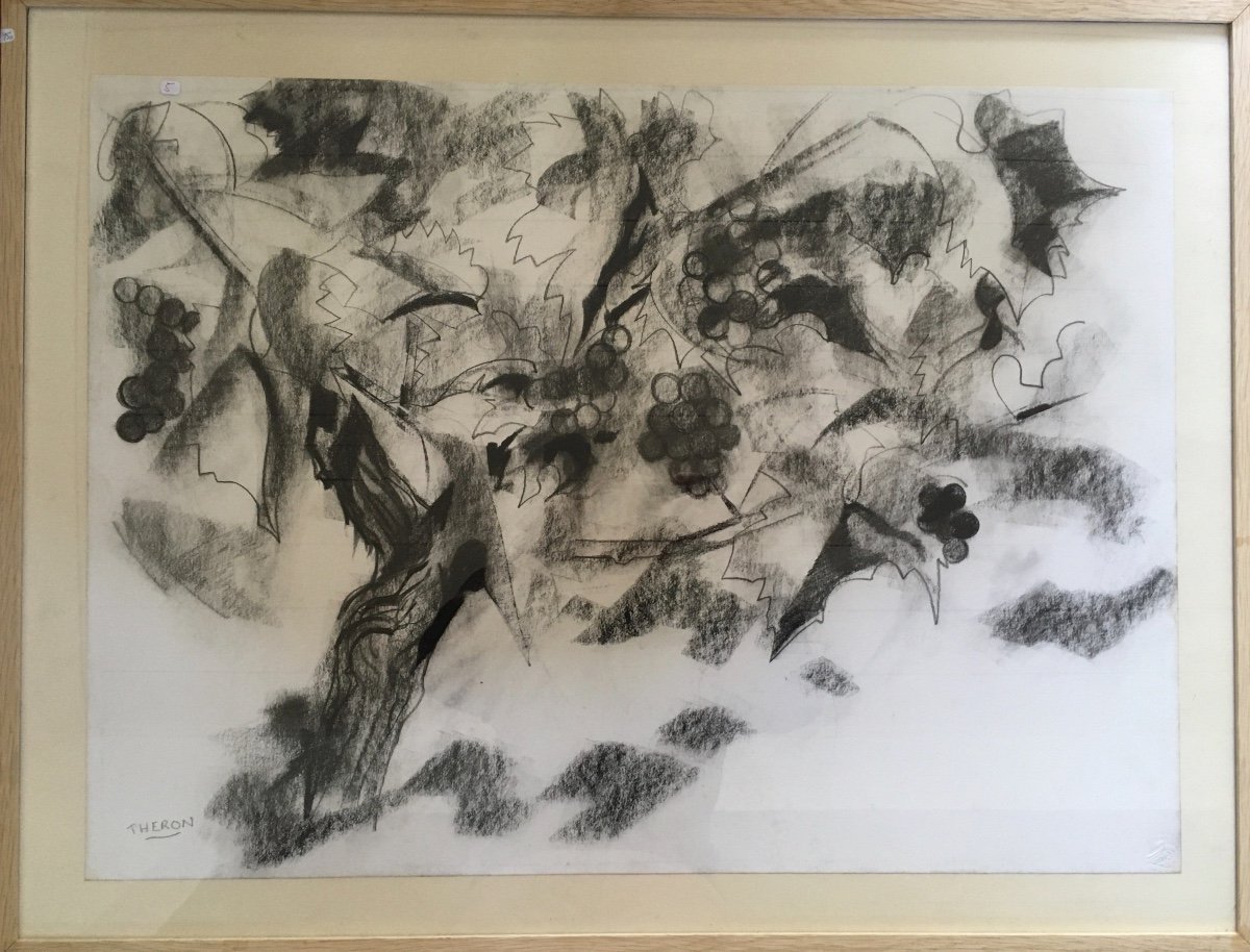 Pierre Théron. Dessin Original Vers 1960. La Vigne , Raisins, étude Sur Le Vin, Bordeaux