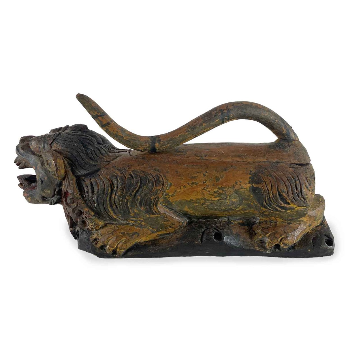 Indonesian Fantastic  Lion Animal-photo-4