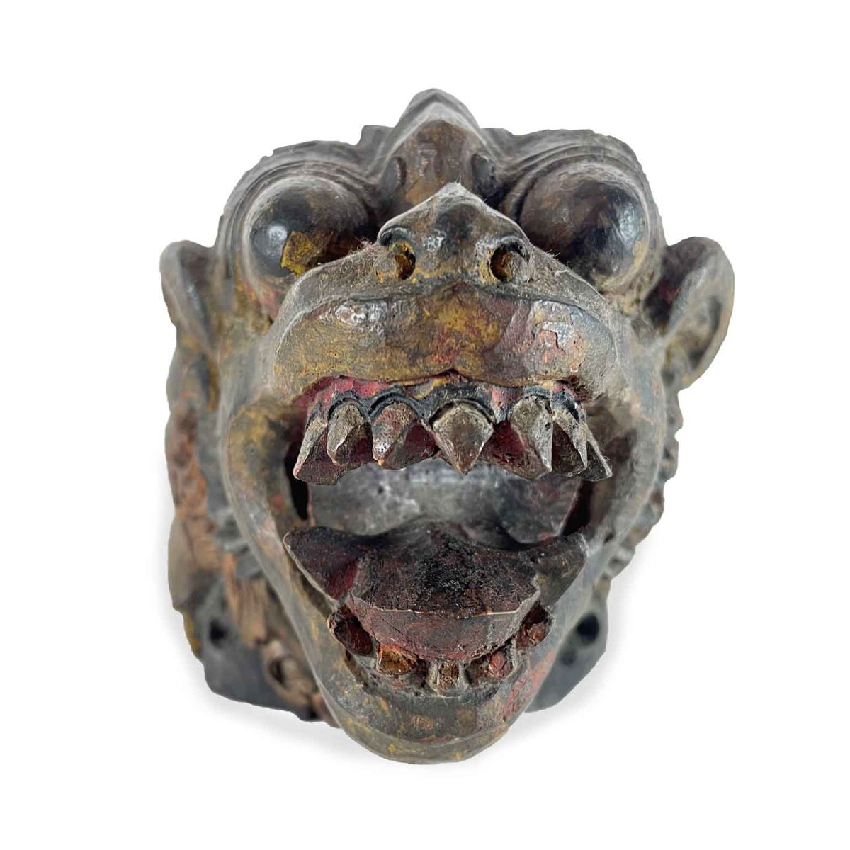 Indonesian Fantastic  Lion Animal-photo-1