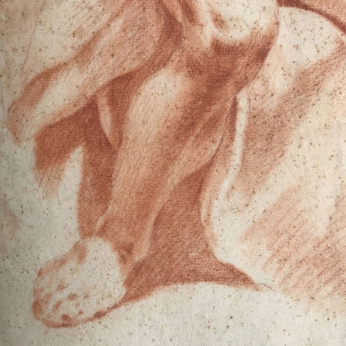 Paire De Sanguine Sur Papier Avec Académie d'Homme 18ème-photo-5