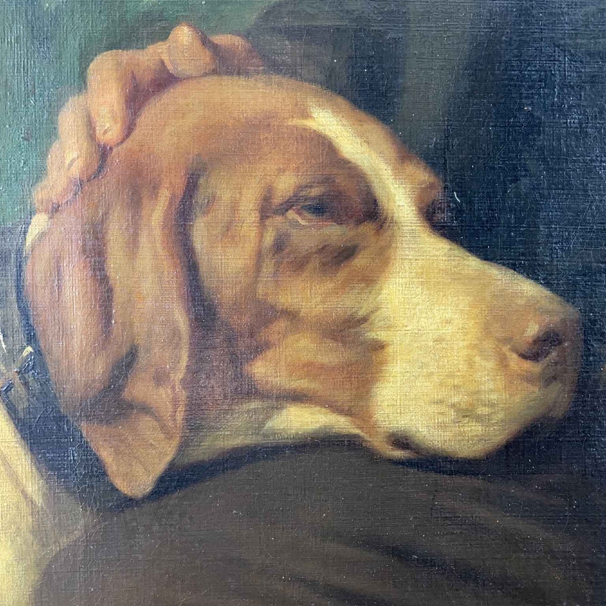 Gentleman With Bracco Dog 1868 Italian Neoclassical Portrait By Penuti Giuseppe-photo-3