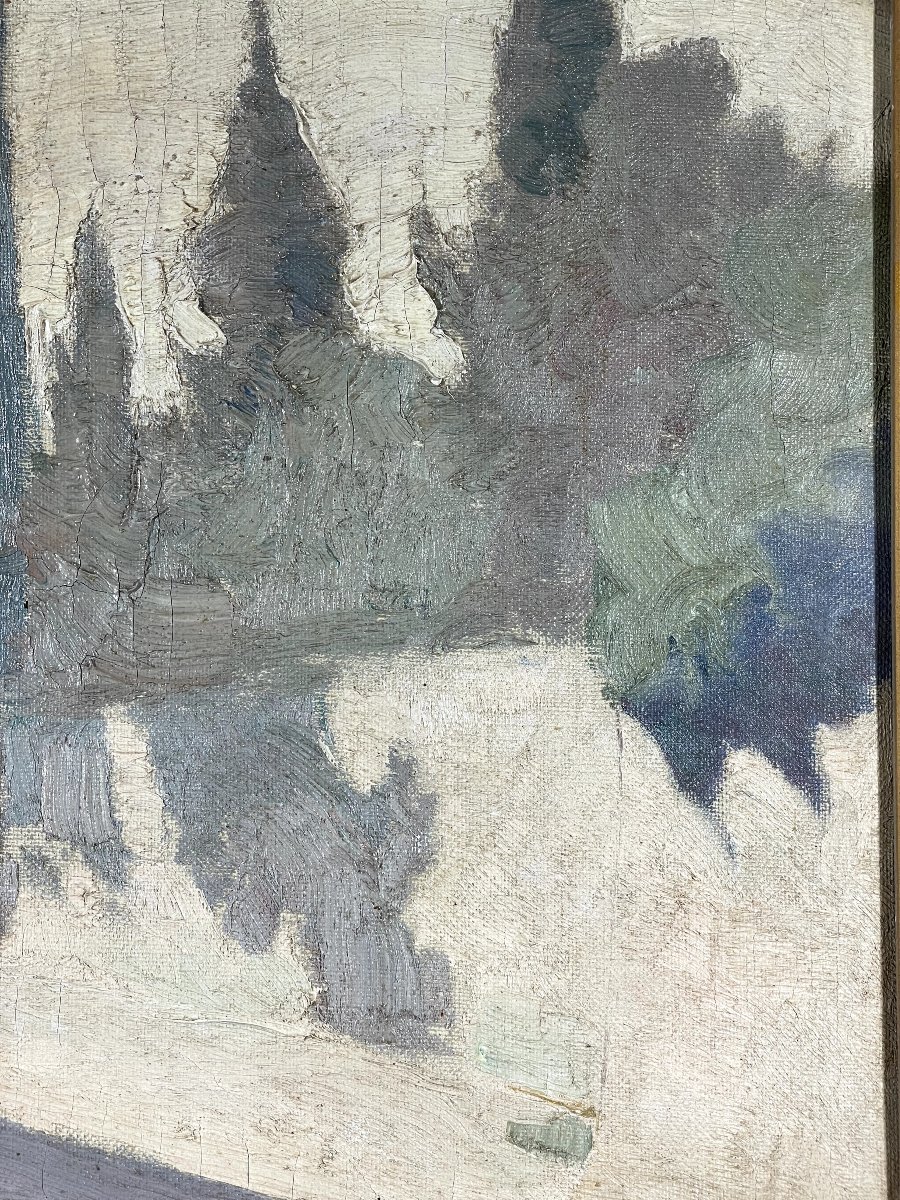 Allée d'arbres-photo-4