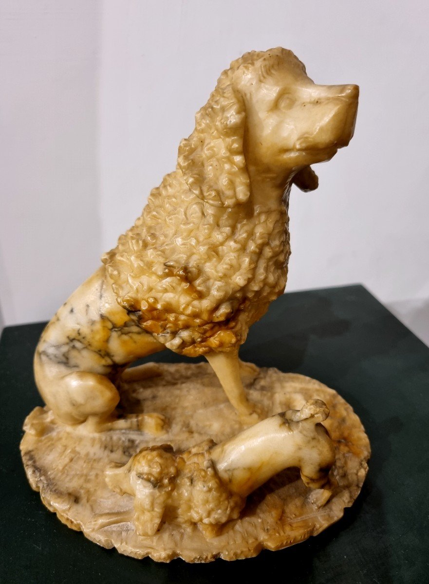 Alabaster Dogs-photo-4
