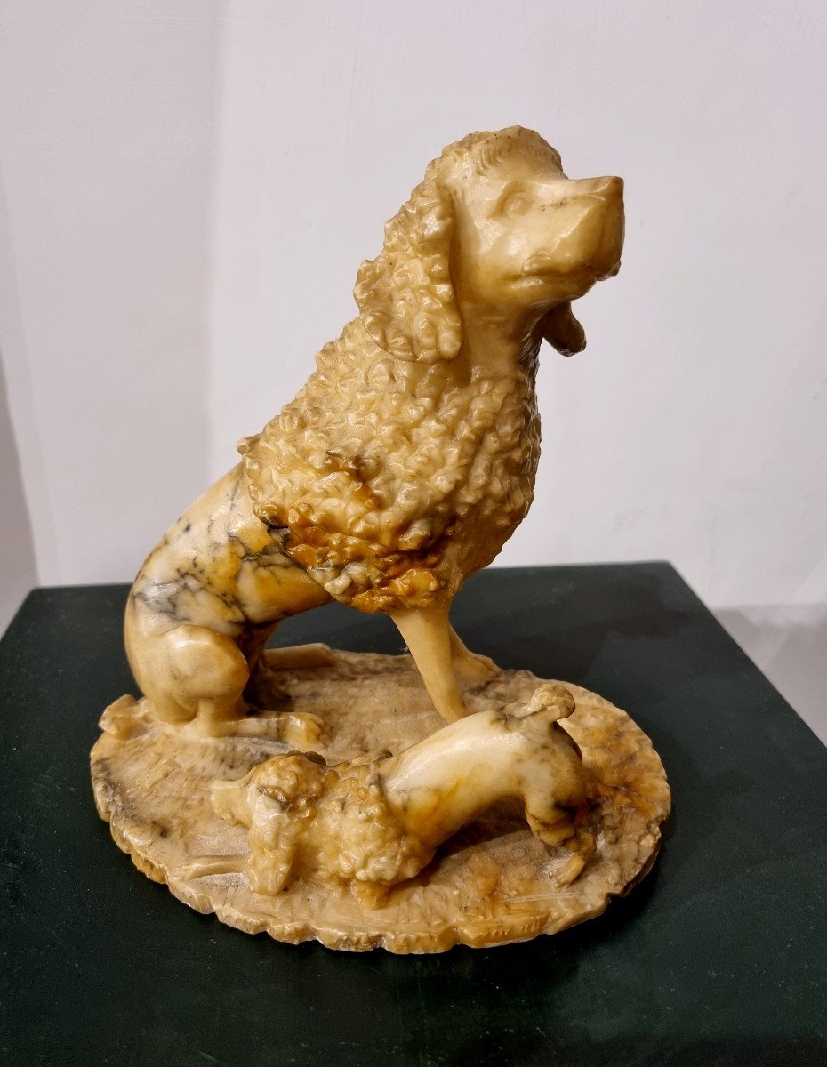 Alabaster Dogs