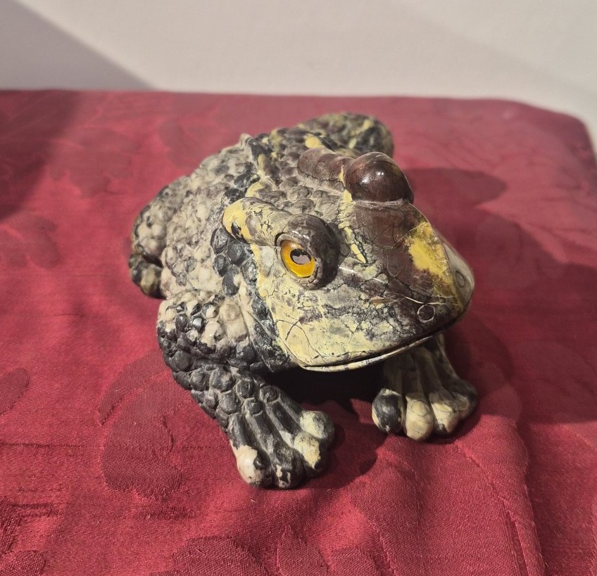 Crapaud en rhyolite, Wunderkammer-photo-2
