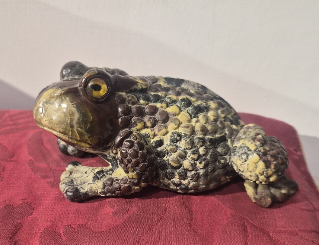 Crapaud en rhyolite, Wunderkammer-photo-3