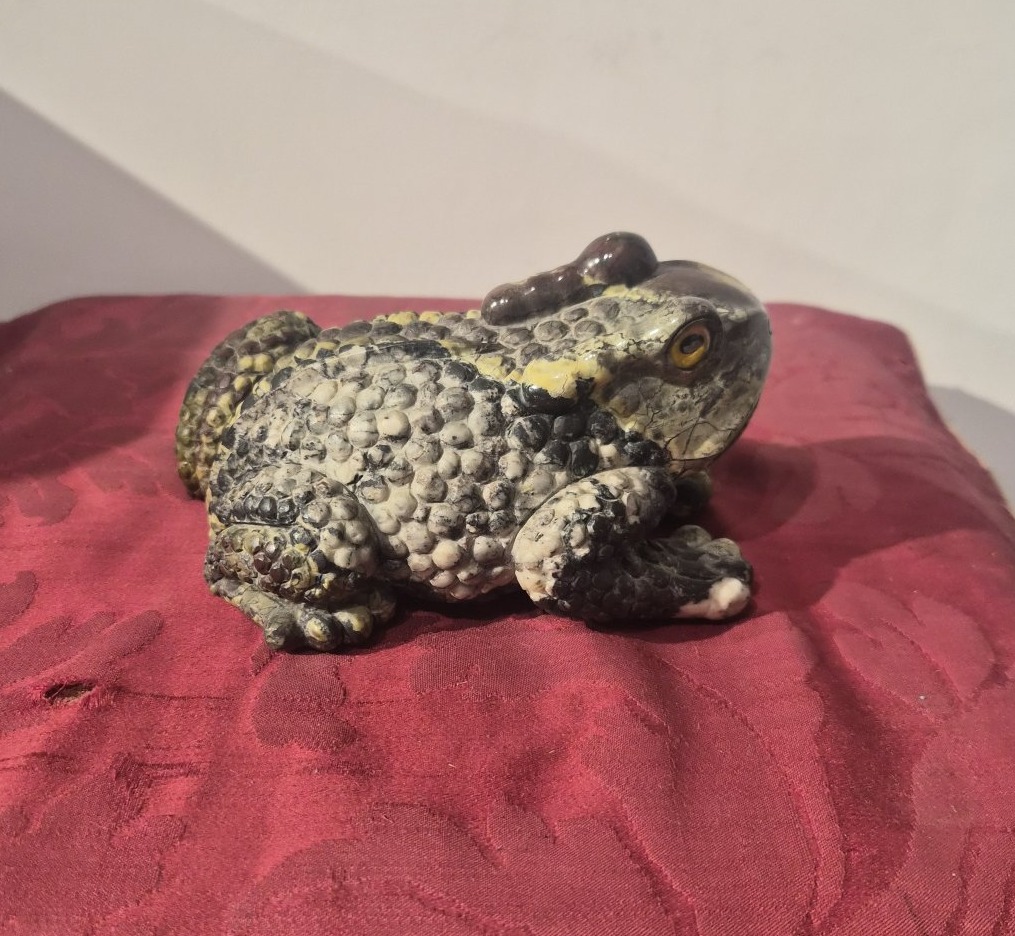 Crapaud en rhyolite, Wunderkammer-photo-1