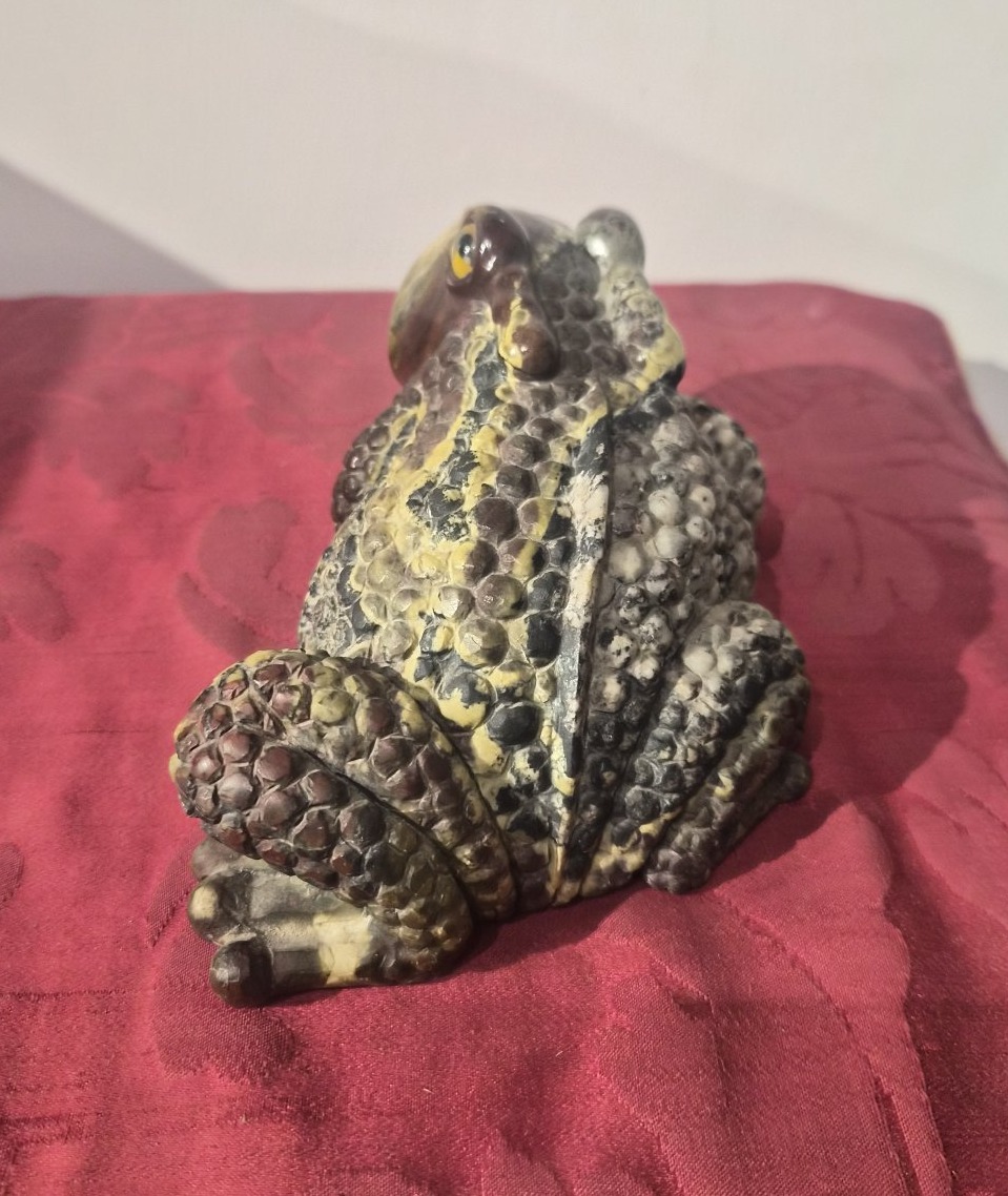 Crapaud en rhyolite, Wunderkammer-photo-2