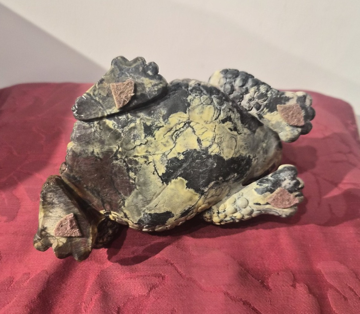 Crapaud en rhyolite, Wunderkammer-photo-3